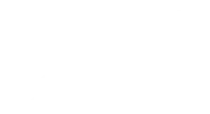 Logo Arriva Hospitallity White