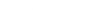 Logo White